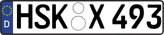 HSK-X493