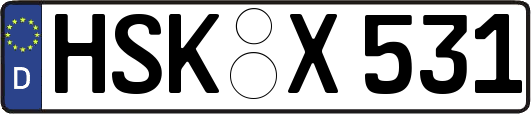 HSK-X531
