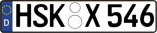 HSK-X546