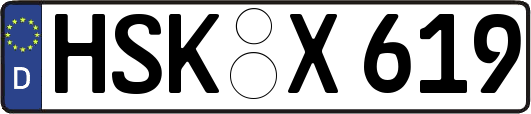 HSK-X619