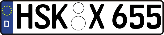 HSK-X655