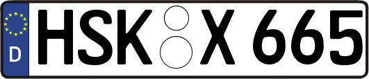 HSK-X665