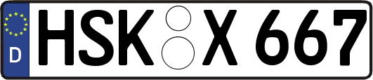 HSK-X667