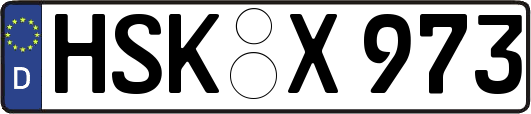 HSK-X973