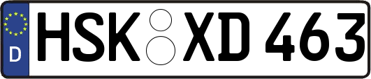 HSK-XD463