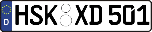HSK-XD501