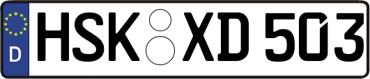HSK-XD503