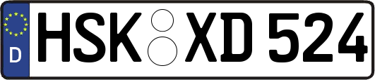 HSK-XD524