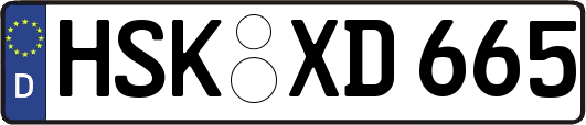 HSK-XD665