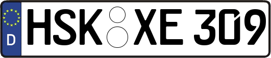 HSK-XE309