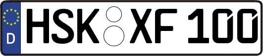 HSK-XF100