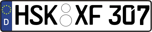 HSK-XF307