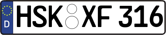 HSK-XF316