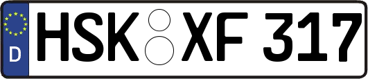 HSK-XF317