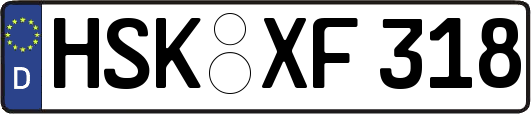 HSK-XF318