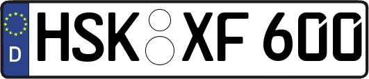 HSK-XF600