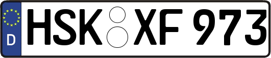 HSK-XF973