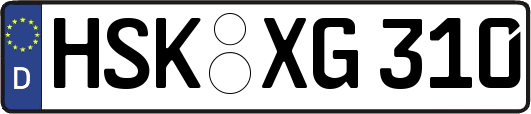 HSK-XG310