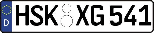 HSK-XG541