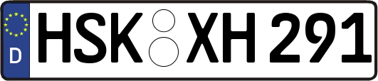 HSK-XH291