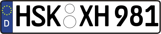 HSK-XH981