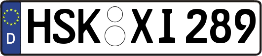 HSK-XI289