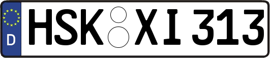 HSK-XI313