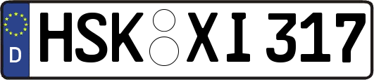 HSK-XI317