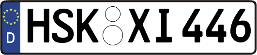 HSK-XI446