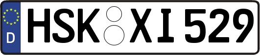 HSK-XI529