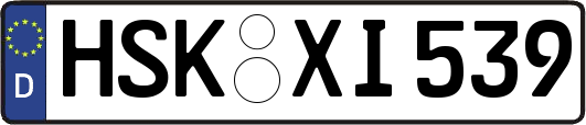 HSK-XI539