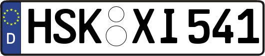 HSK-XI541
