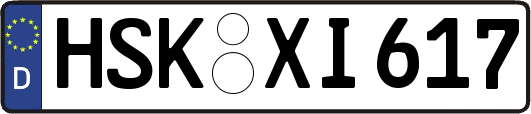 HSK-XI617