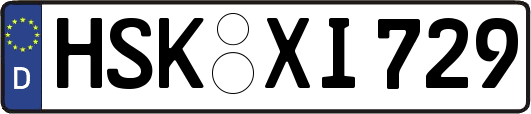 HSK-XI729