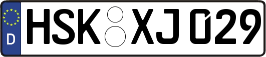 HSK-XJ029