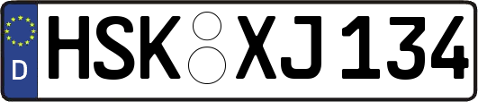HSK-XJ134
