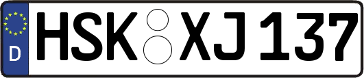 HSK-XJ137