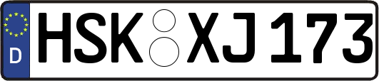 HSK-XJ173