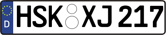 HSK-XJ217