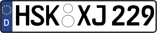 HSK-XJ229