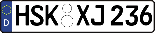 HSK-XJ236