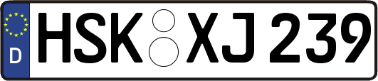 HSK-XJ239