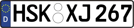 HSK-XJ267