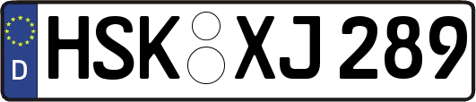 HSK-XJ289