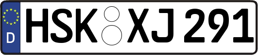 HSK-XJ291