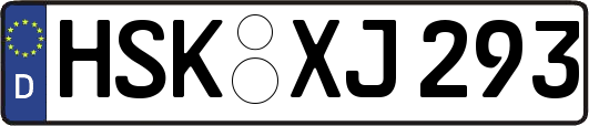 HSK-XJ293
