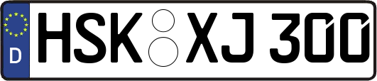 HSK-XJ300