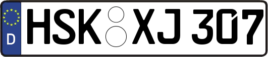 HSK-XJ307