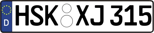 HSK-XJ315