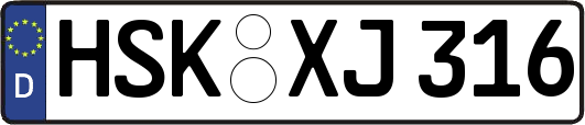 HSK-XJ316